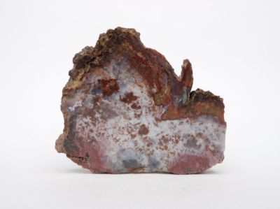 Stromatolit - Bystřice (Mladé Buky) u Trutnova